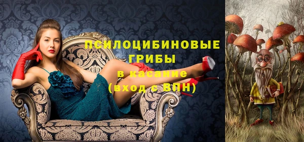 apvp Нягань