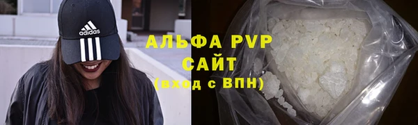 соль ск Няндома