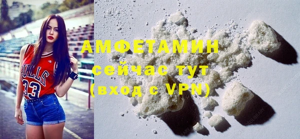 сатива Беслан