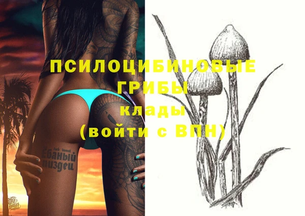 mix Билибино