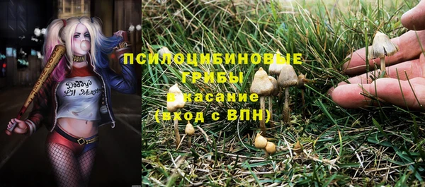 молекула духа Бикин