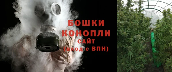 соль ск Няндома