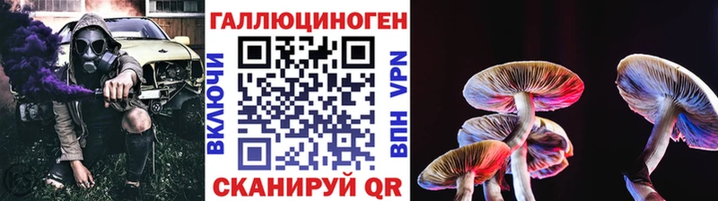 Галлюциногенные грибы мицелий  omg зеркало  Новочеркасск 